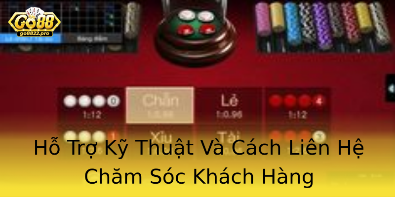 Hỗ Trợ Kỹ Thuật Và Cách Liên Hệ Chăm Sóc Khách Hàng