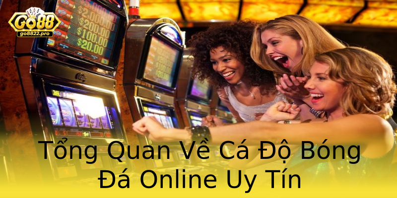 Tổng Quan Về Cá Độ Bóng Đá Online Uy Tín Tổng Quan Về Cá Độ Bóng Đá Online Uy Tín